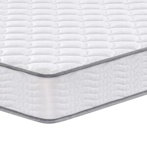 Everyday Ortho - image 1