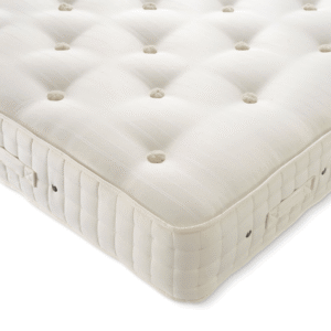 Orthos Support 7 Firm - image 1